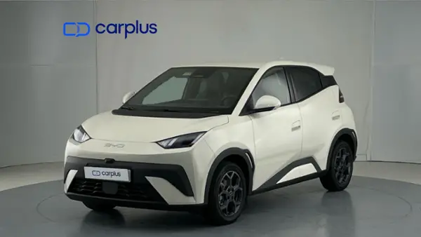 BYD Dolphin Surf